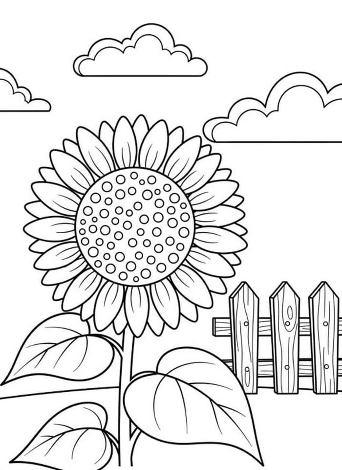 tô màu hoa hướng dương đẹp