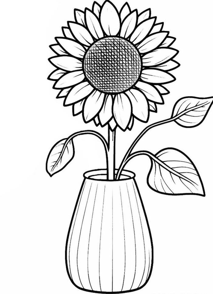 tô màu hoa hướng dương trong lọ