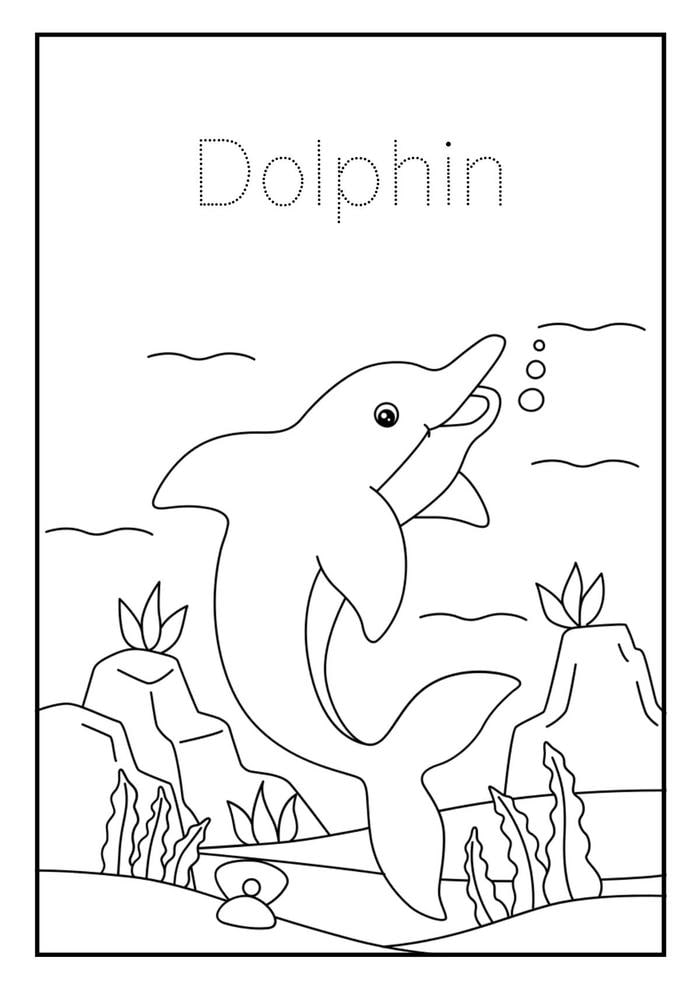 tranh cá heo tô màu giúp bé phát triển sáng tạo