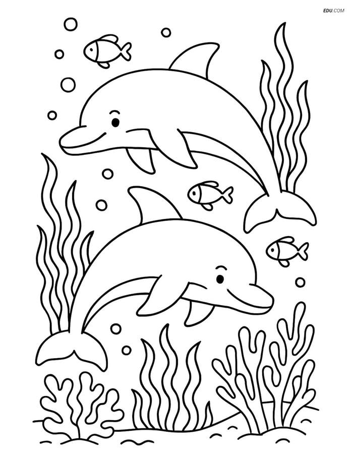 tranh tô màu cá heo cho bé tập tô đơn giản