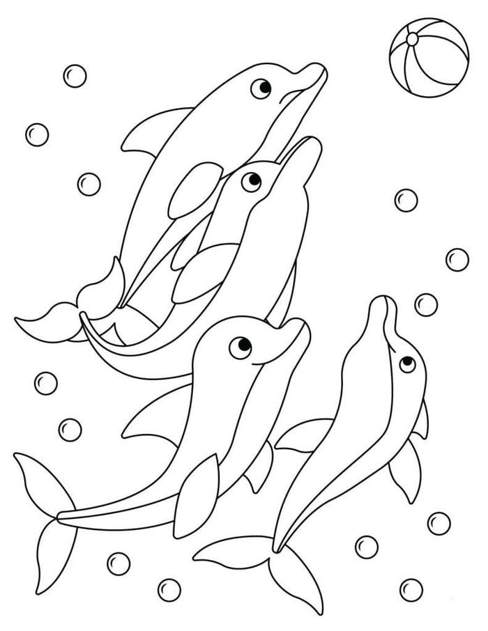 tranh tô màu cá heo đơn giản nhưng đẹp mắt