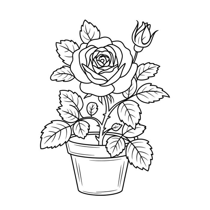 tranh tô màu hoa hồng ít chi tiết