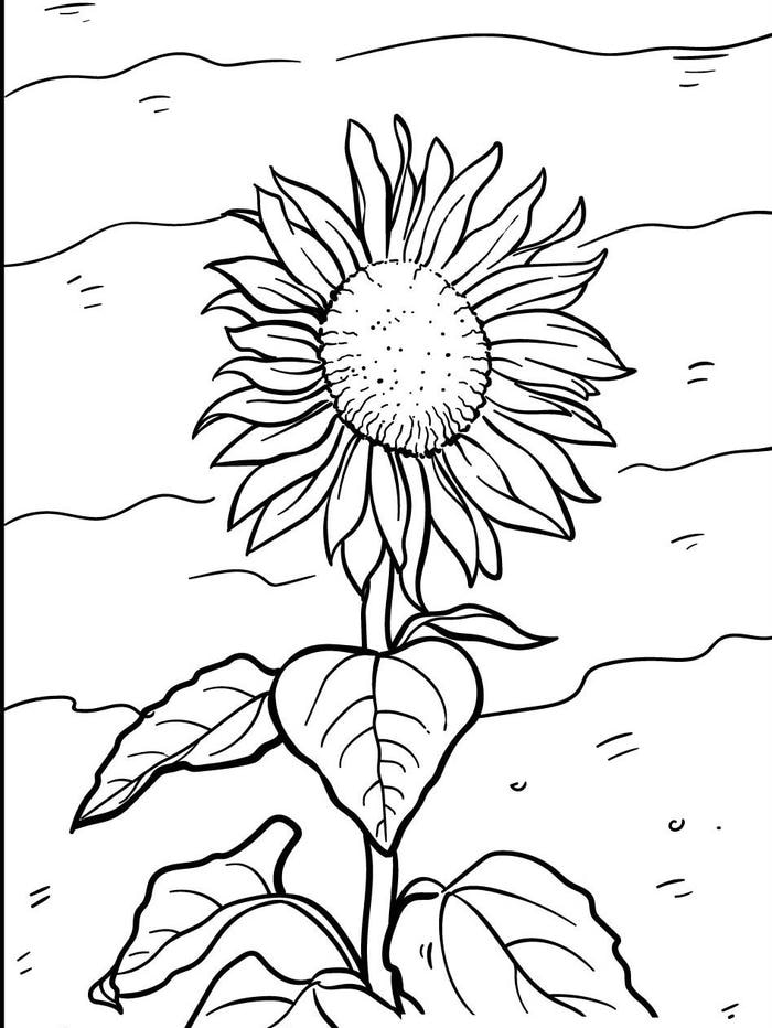 tranh tô màu hướng dương kèm lá đơn nét