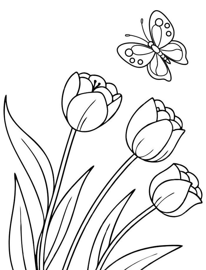 tranh tulip không nền để tô màu