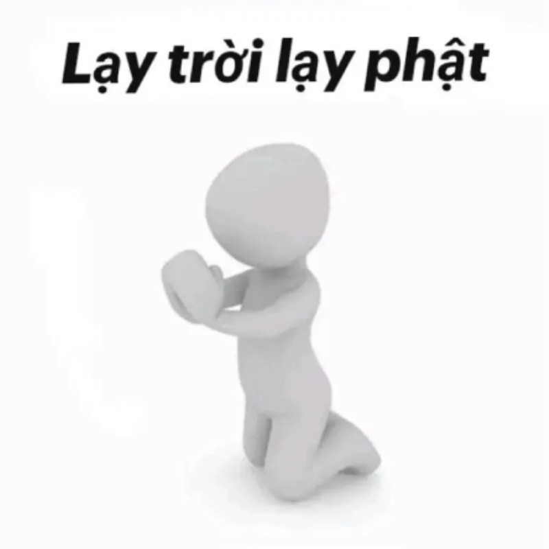 tự nhận ngu liền, chốt meme lạy