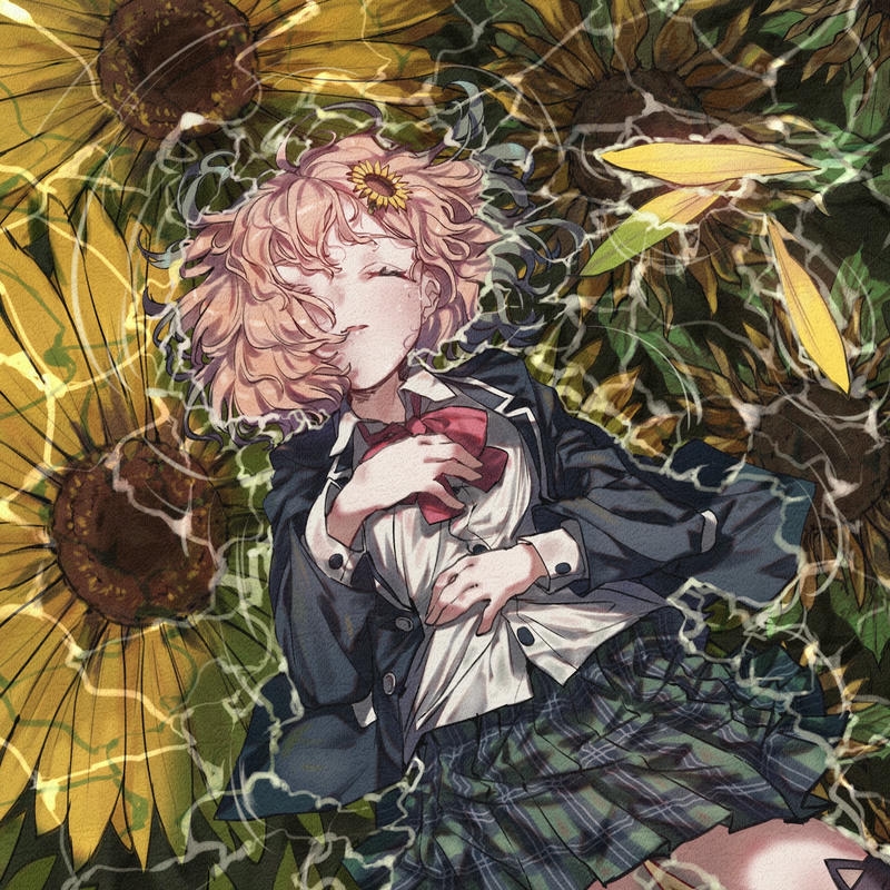 Ảnh avatar hoa hướng dương cô gái nằm giữa vườn hoa