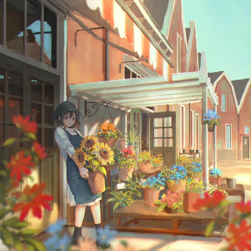 Ảnh hoa hướng dương đẹp trang trí trước cửa tiệm xinh