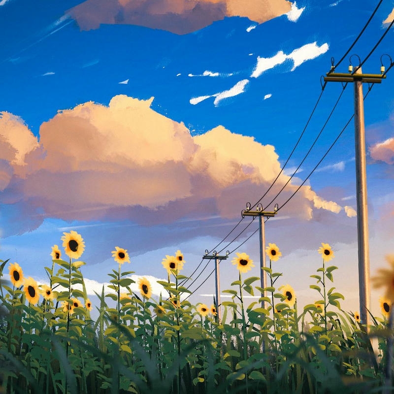 Ảnh phong cảnh hoa hướng dương dưới bầu trời trong xanh