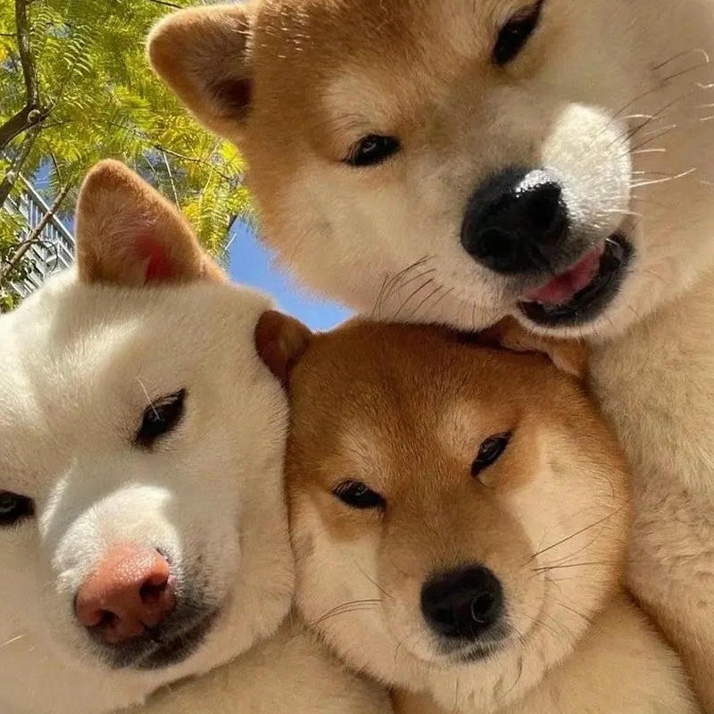 Avatar nhóm chất ngầu phong cách cool