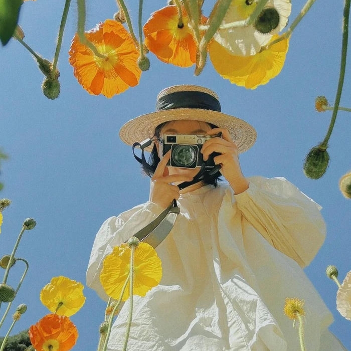 Avatar nữ che mặt cầm máy ảnh giữa cánh đồng