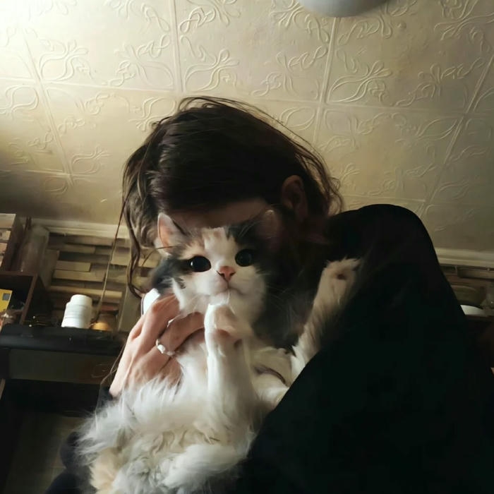 Avatar nữ che mặt ôm chú mèo trắng dễ thương