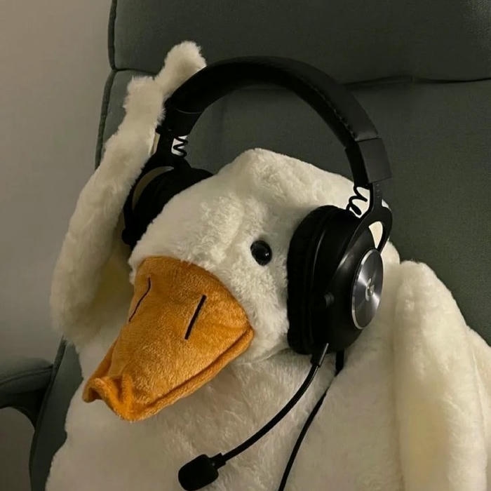 Avatar vịt cute chú vịt trắng đang đeo tai nghe