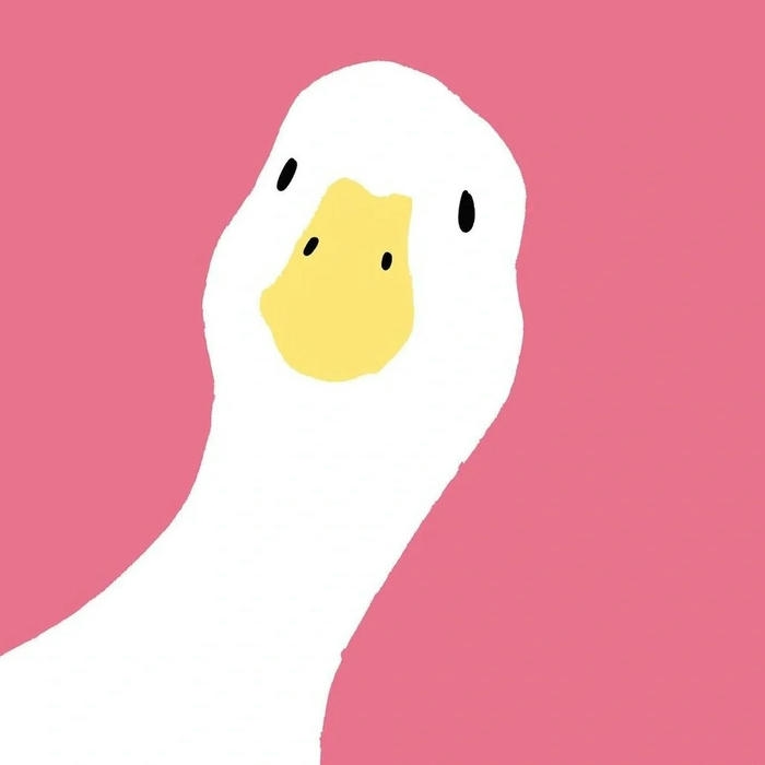 Avatar vịt cute mặt vịt trắng trên nền hồng