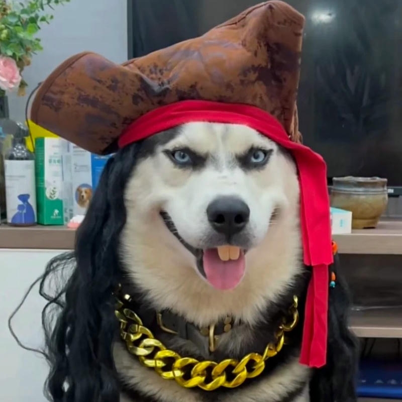 Hình Avatar vô tri cute anime ngộ nghĩnh