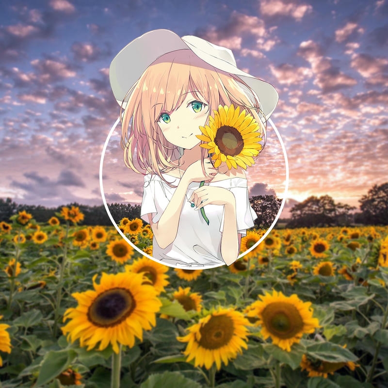 Hình ảnh avatar hoa hướng dương khung tròn hoàng hôn đẹp