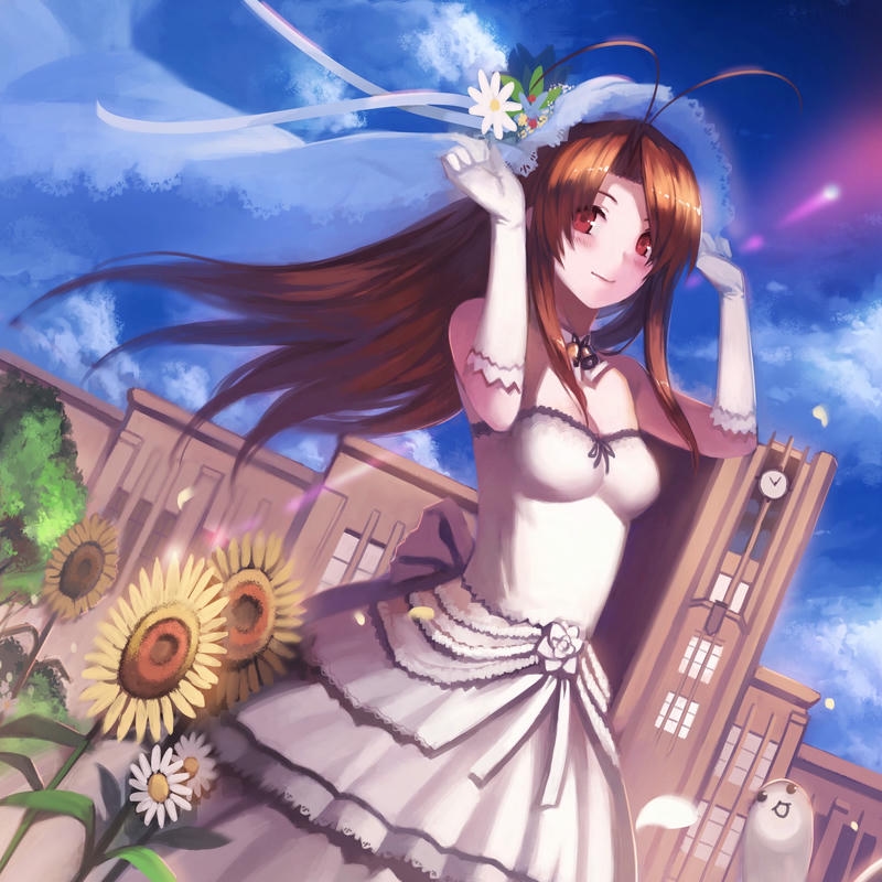 Hình avatar hoa hướng dương cô gái anime váy trắng xinh