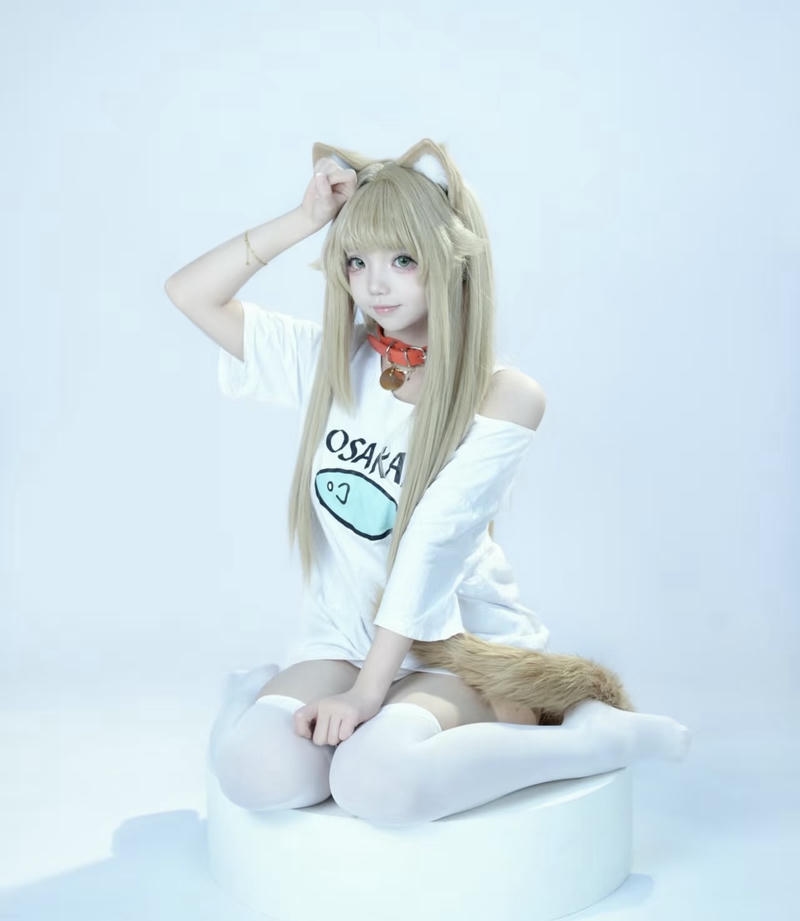 Hình mèo cosplay cute đáng yêu tinh nghịch