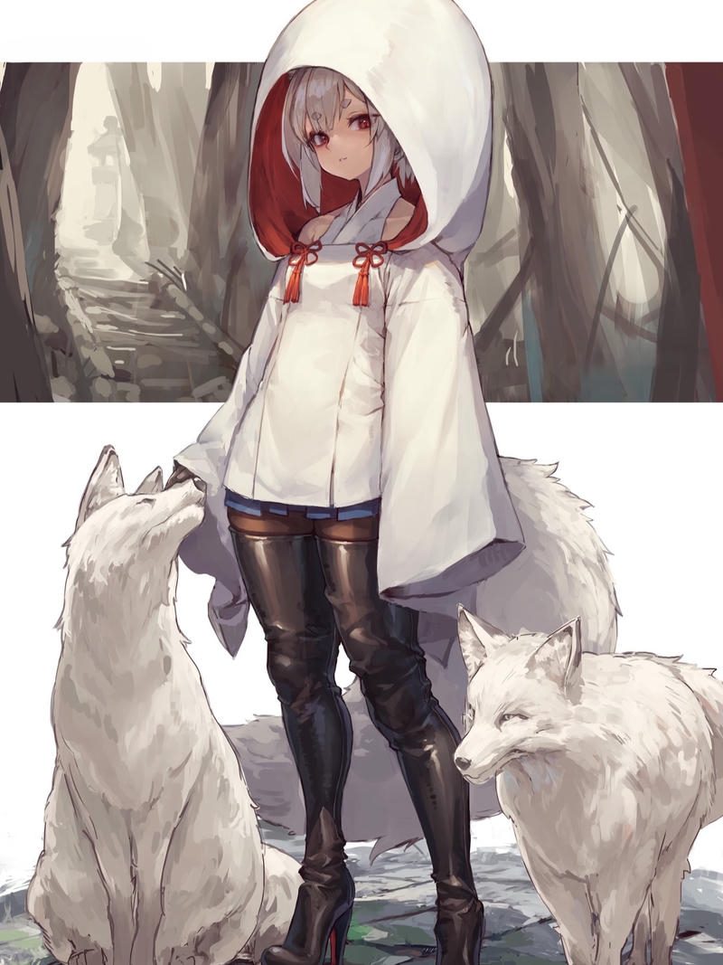 Hồ ly trùm mũ trắng đi dạo cùng bầy sói tuyết