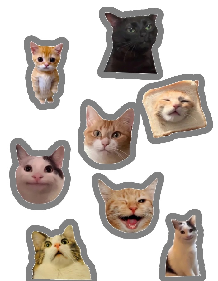 biểu cảm quen thuộc sticker mèo cute