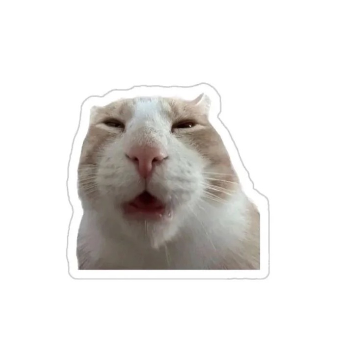 bình luận kèm sticker dễ thương mèo