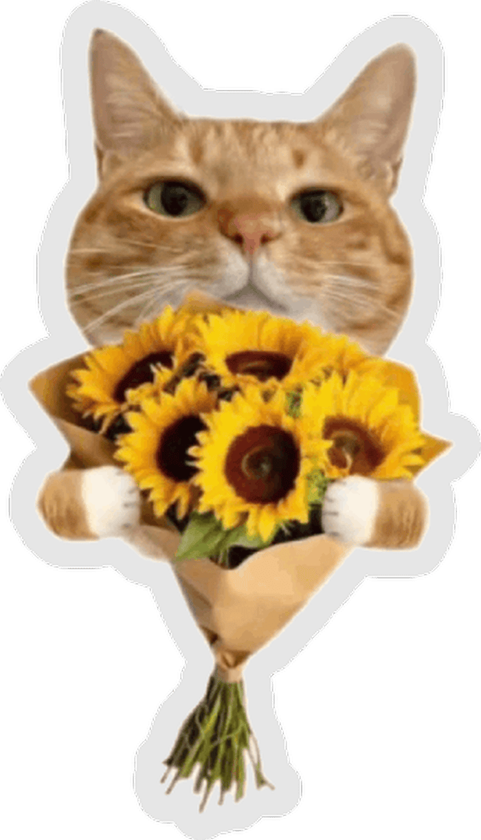 gửi lời chúc tinh tế bằng sticker hoa