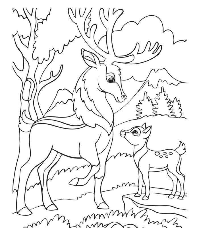 hình ảnh tô màu nai mẹ và nai con