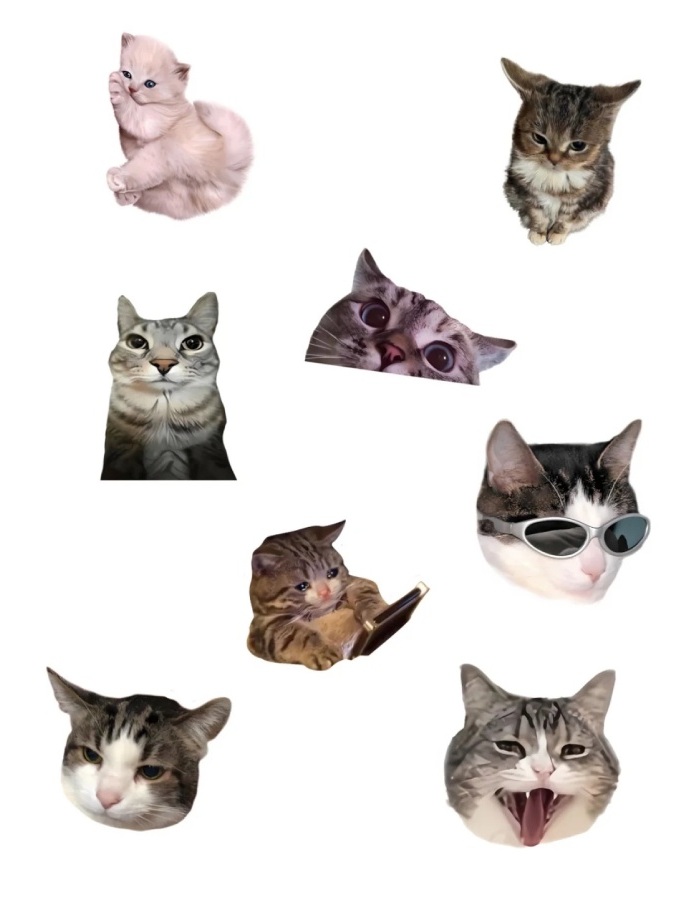 khuôn mặt cute khác nhau sticker mèo