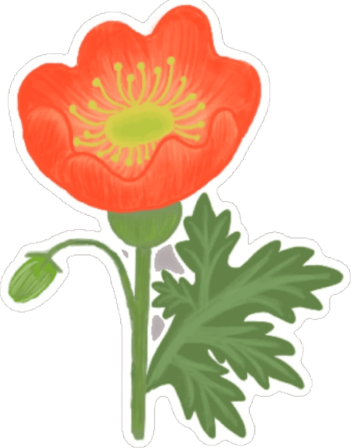 kiểu trang trí đáng yêu sticker hoa