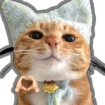 mặc đồ bông dày sticker mèo thả tim