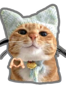 mặc đồ bông dày sticker mèo thả tim