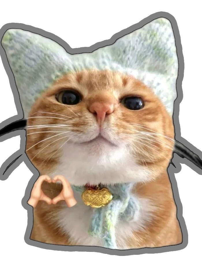 mặc đồ bông dày sticker mèo thả tim