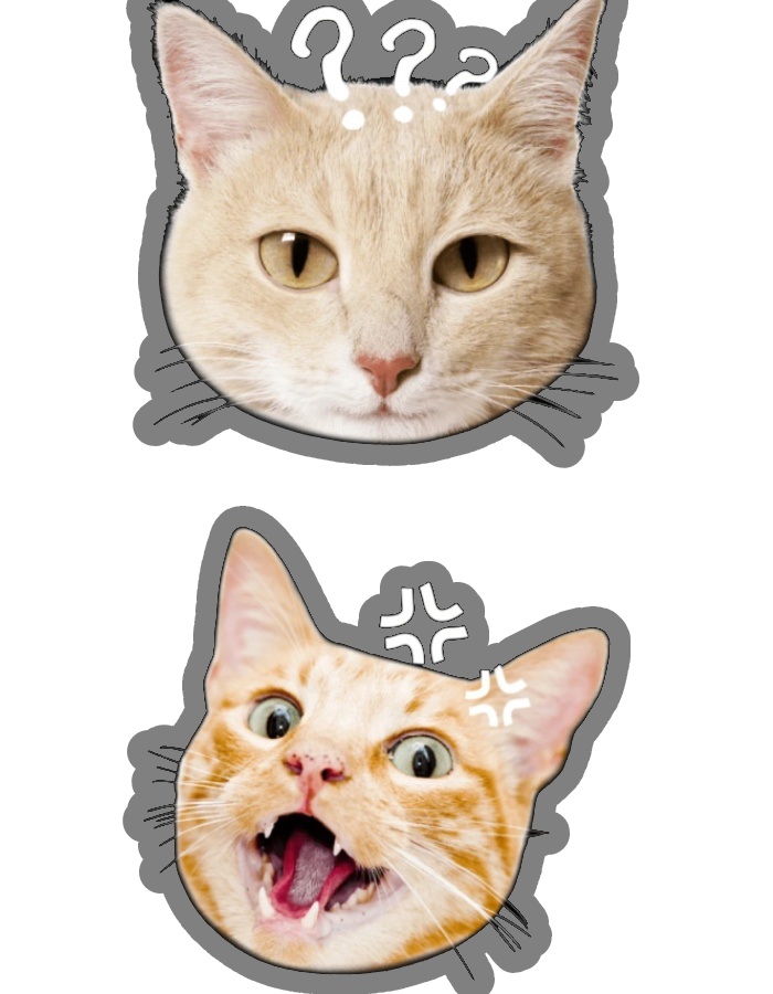 mèo mặt ngơ ngác trong sticker mèo