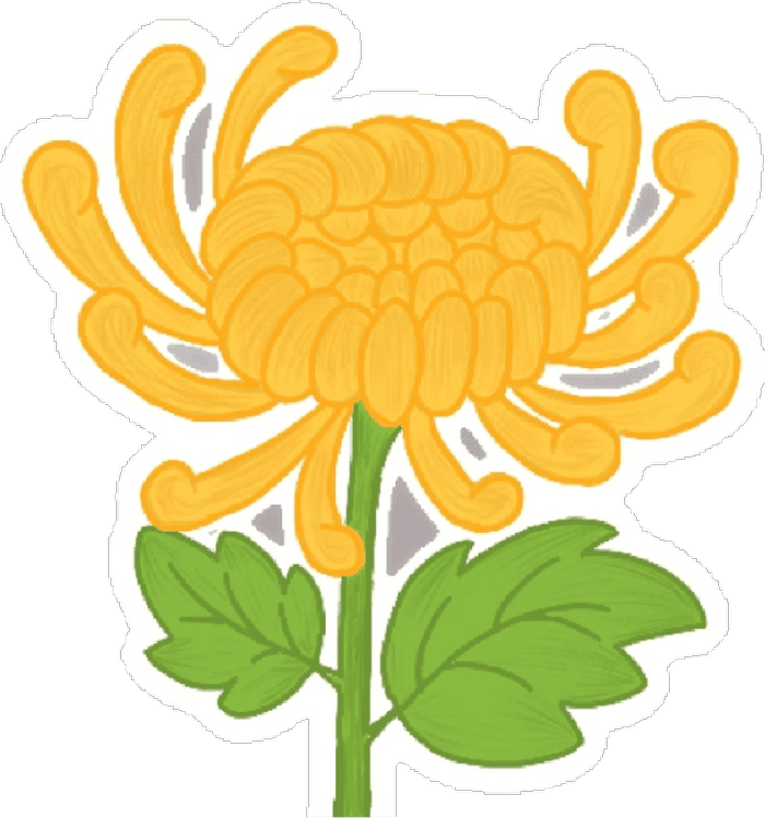 người dùng hoa sticker để tạo điểm nhấn