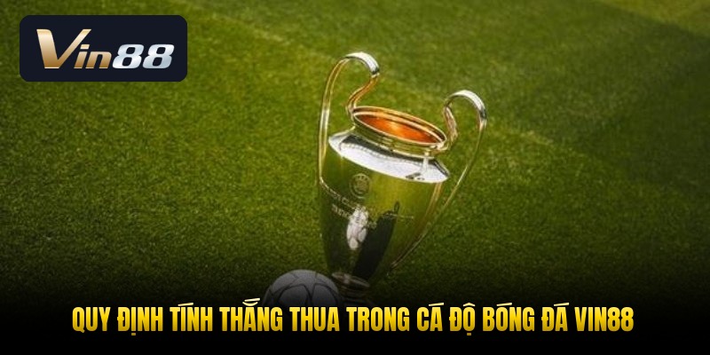 quy-dinh-tinh-thang-thua-trong-ca-do-bong-da-vin88