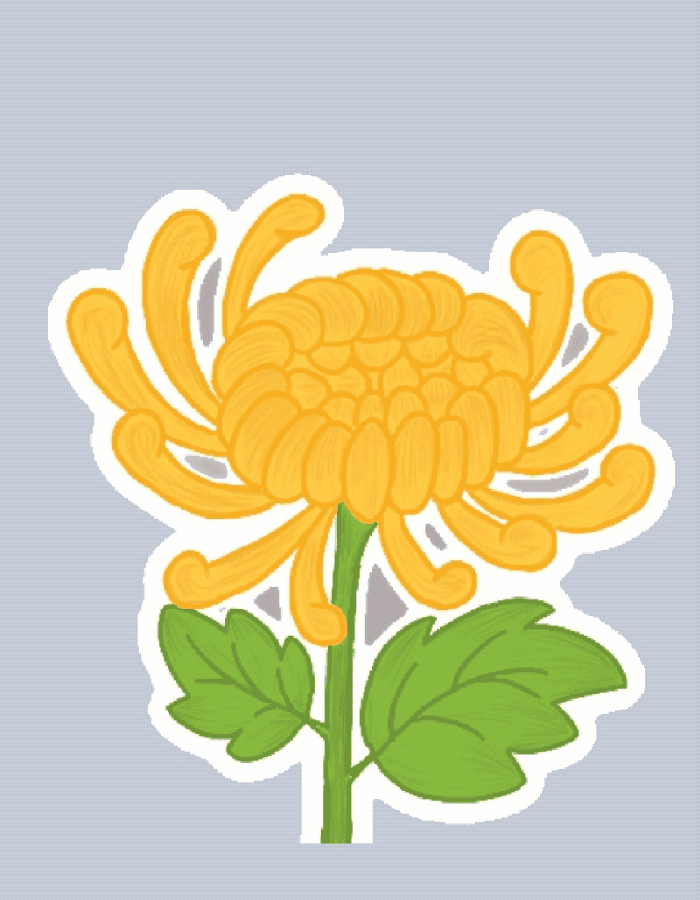 sticker hoa hợp cho người yêu thích