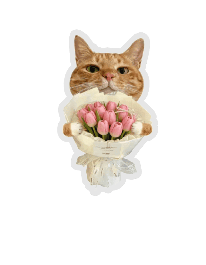 sticker hoa mèo cute tặng người yêu