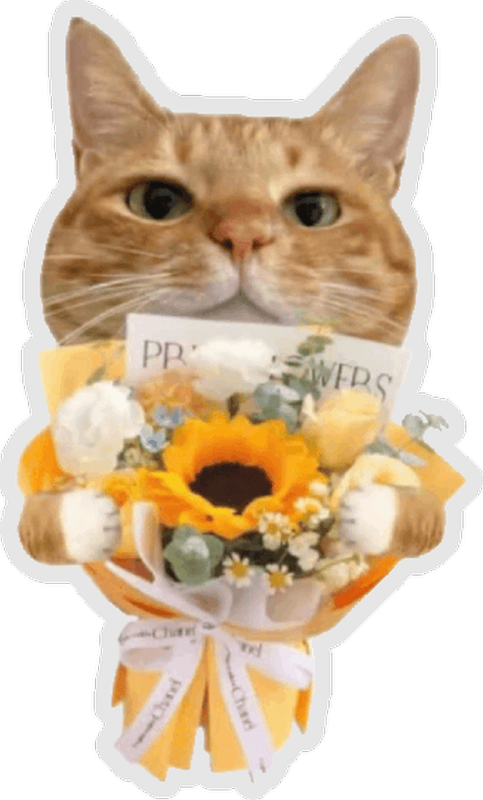 sticker hoa phù hợp gửi lời chúc nhẹ nhàng