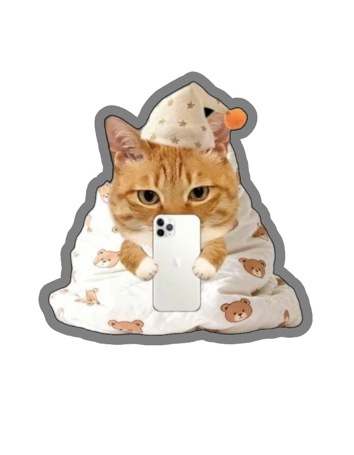 sticker mèo dáng ngồi mập ú dễ nhận