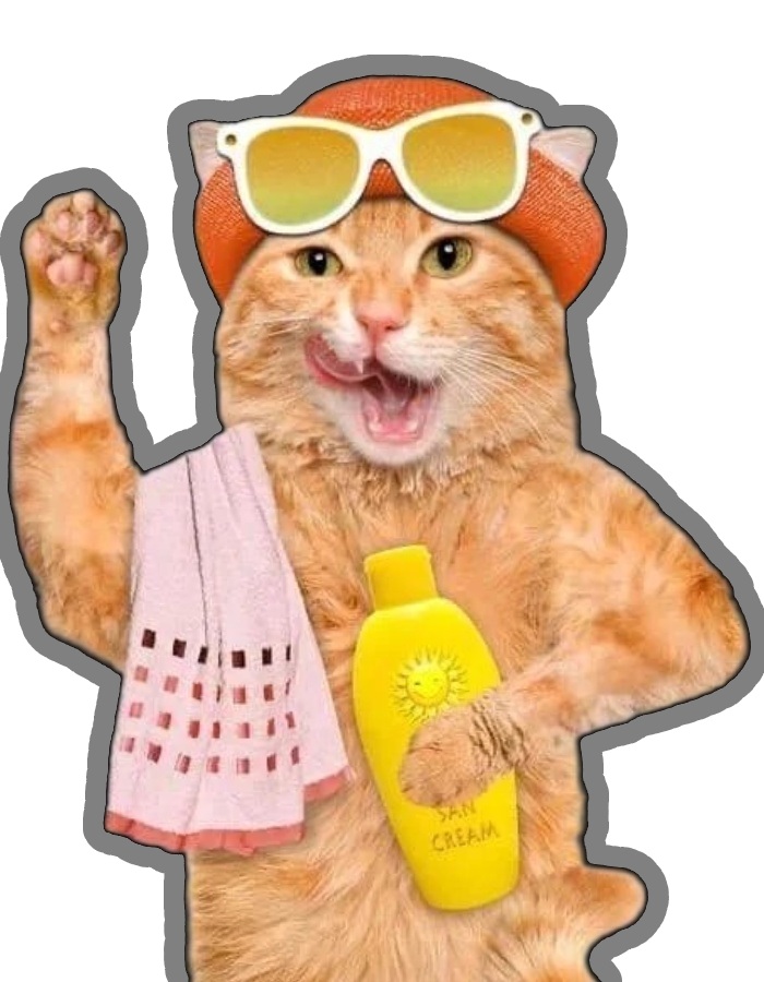 sticker mèo đeo kính đi bơi