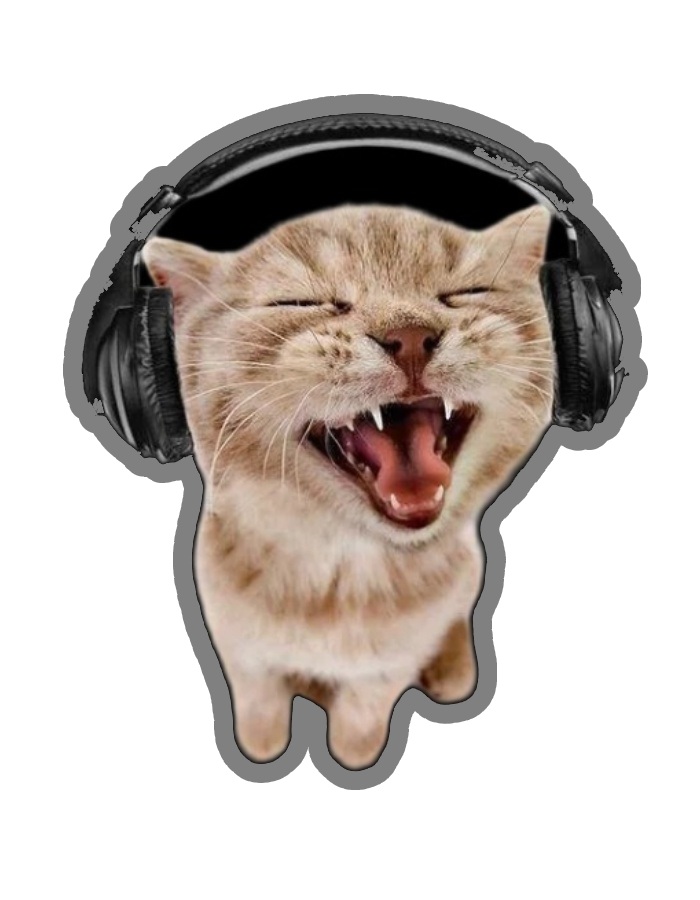 sticker mèo đeo tai nghe cực chill