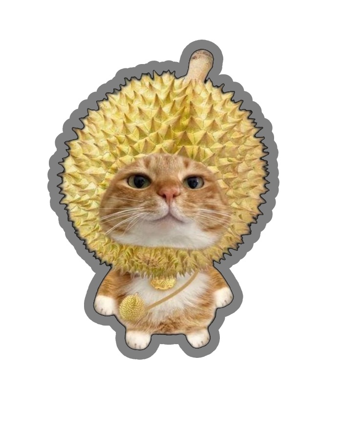 sticker mèo đội mũ sầu riêng