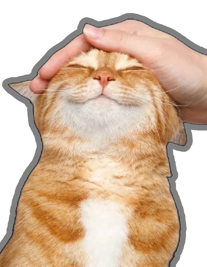 thích bị xoa đầu nhẹ trong sticker mèo