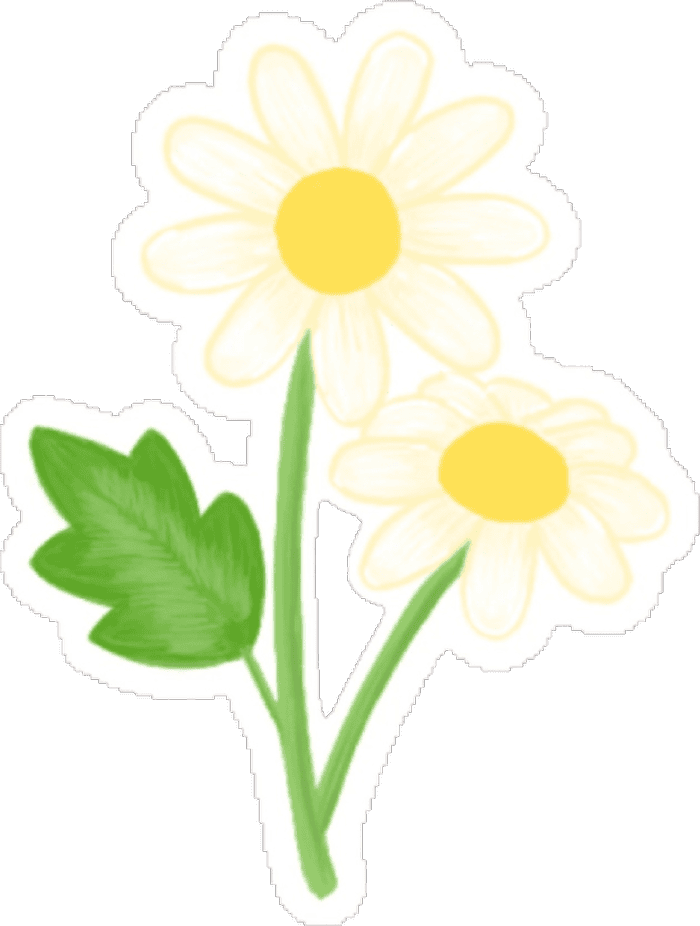 trang trí hội thoại bằng hoa sticker trắng