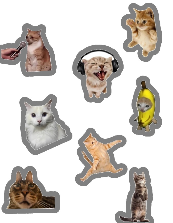 tư thế bựa cực sticker mèo