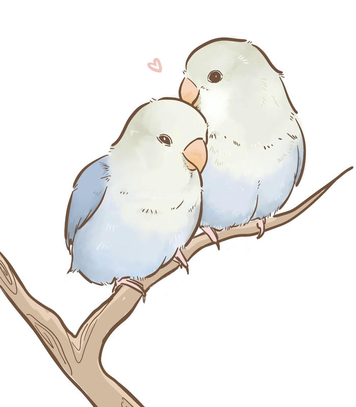 2 Chim chibi mắt hôn nhau cực yêu