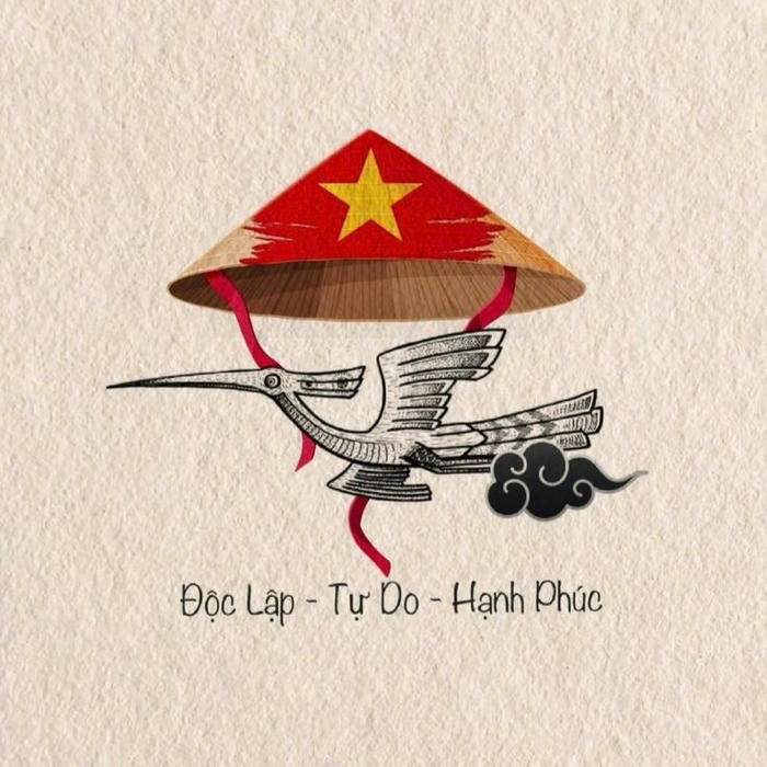 Avatar quốc kỳ hình nền cờ việt nam máy bay chở cờ