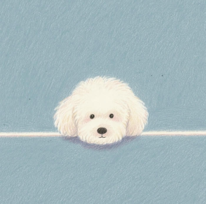 Chó chibi lộ mặt màu trắng cực yêu