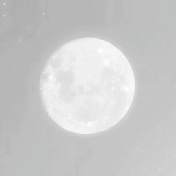 Hình avatar trắng tinh mặt trăng tròn sáng trên nền xám