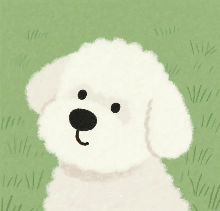Hình con chó chibi trắng xù lông
