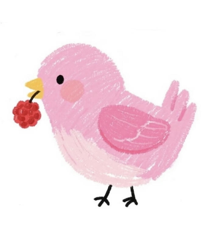 Tranh con chim chibi màu hồng xinh